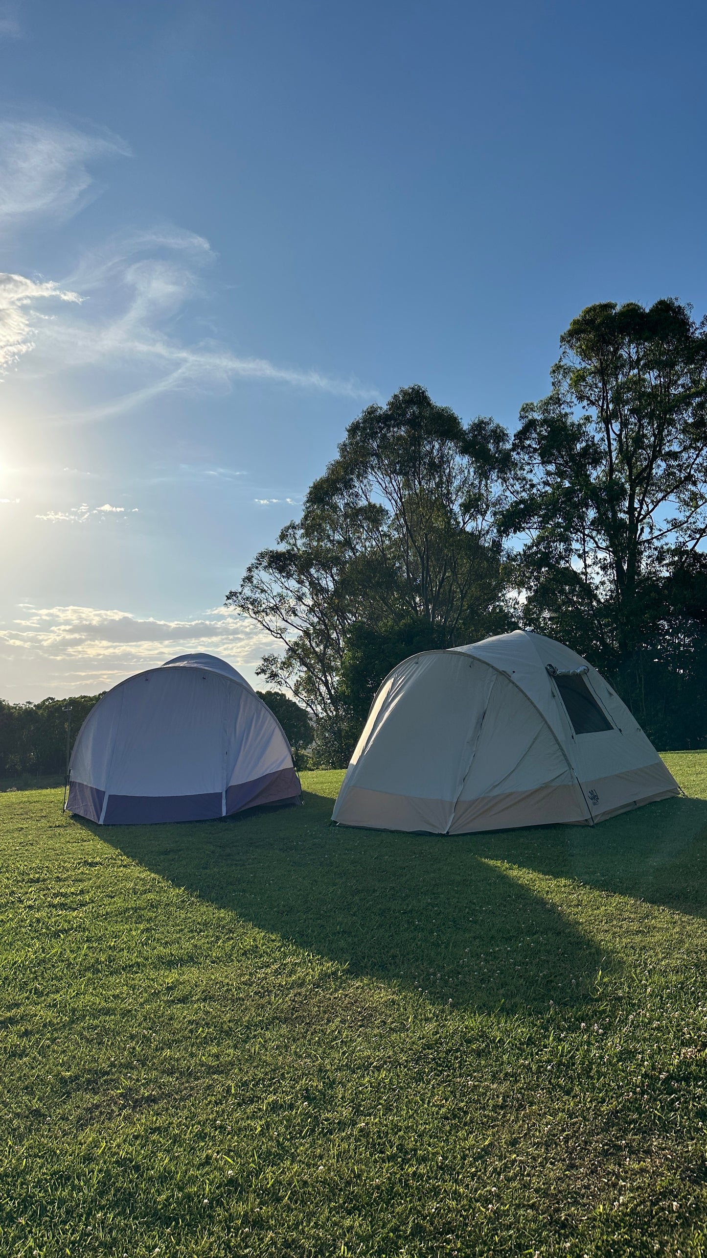 Camping Tent - Lilac (2-4 Person)
